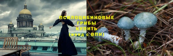 марихуана Заводоуковск