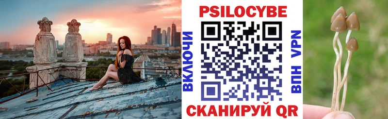 Купить  Альметьевск  Псилоцибиновые грибы прущие грибы 