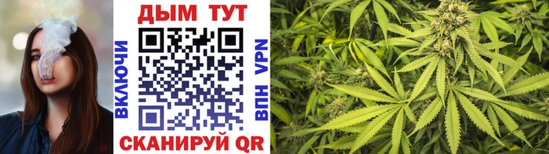 Купить где  Альметьевск  Бошки Шишки сатива 